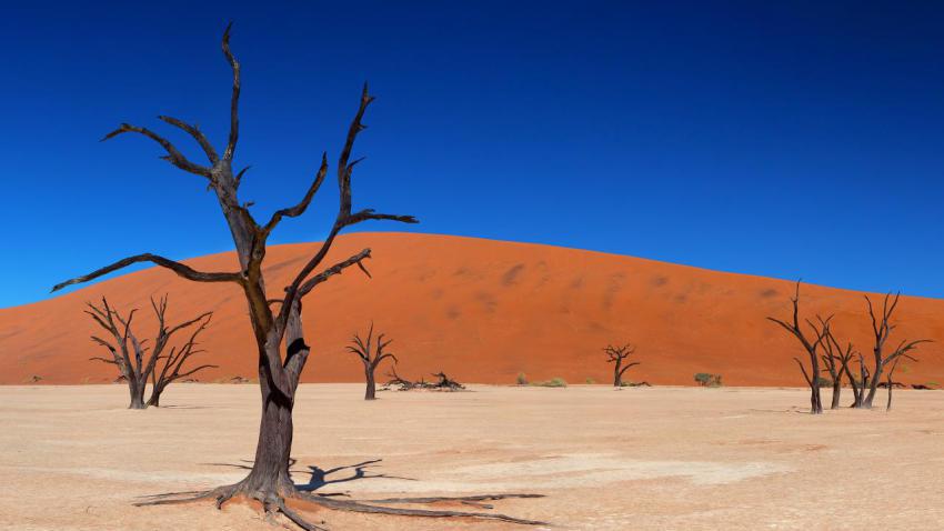 02586 deadvlei 2560x1440