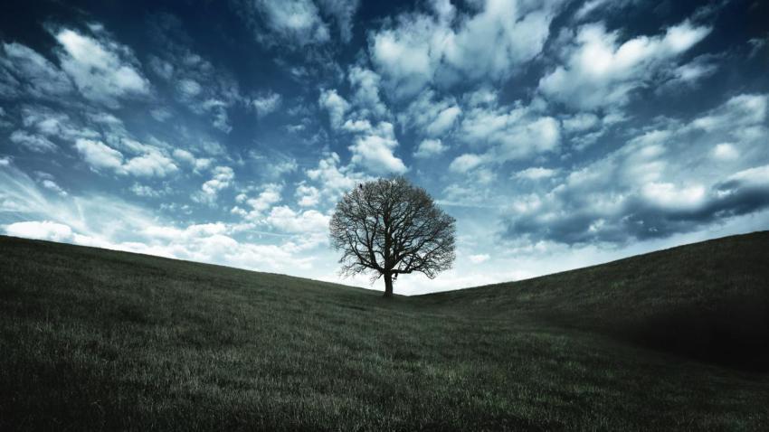 02610 oaktreehill 2560x1440