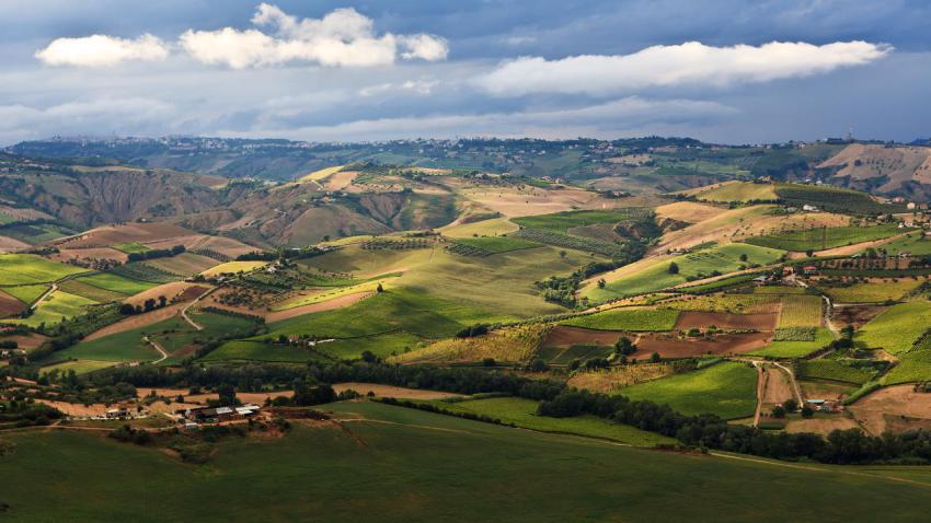 02656 fields 2560x1440