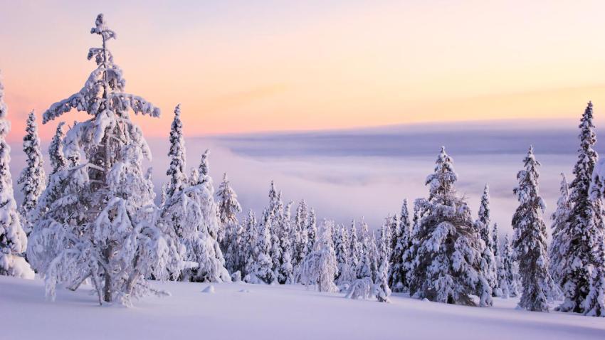 02657 yllasjarvi 2560x1440
