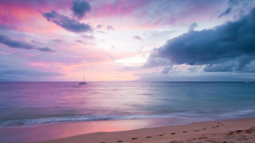 02686 blissfulparadise 2560x1440