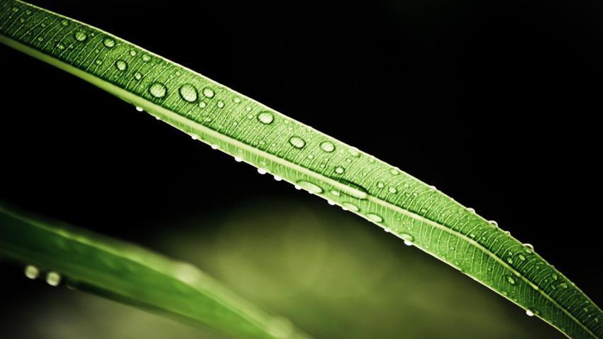 02698 virtueofnature 2560x1440