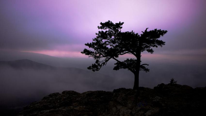 02713 twilightatravensroost 2560x1440