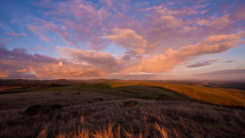 02715 majesticcloudsabovegoldenbladesofgrass 2560x1440