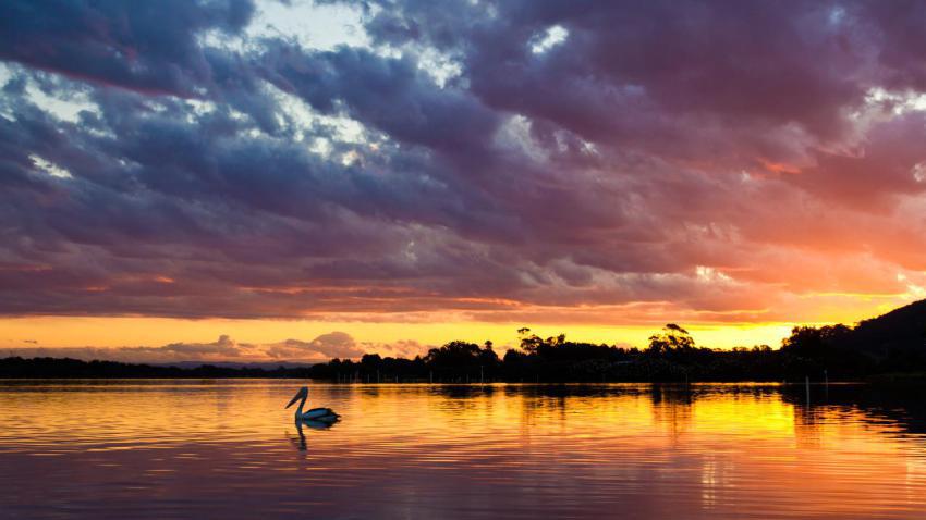 02750 sunsetonfire 2560x1440