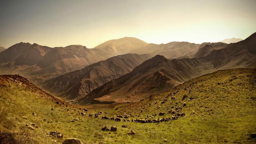 02757 lonesomeshepherd 2560x1440