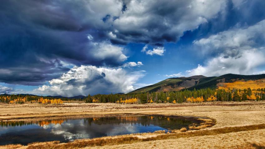 02785 aspenwetland 2560x1440
