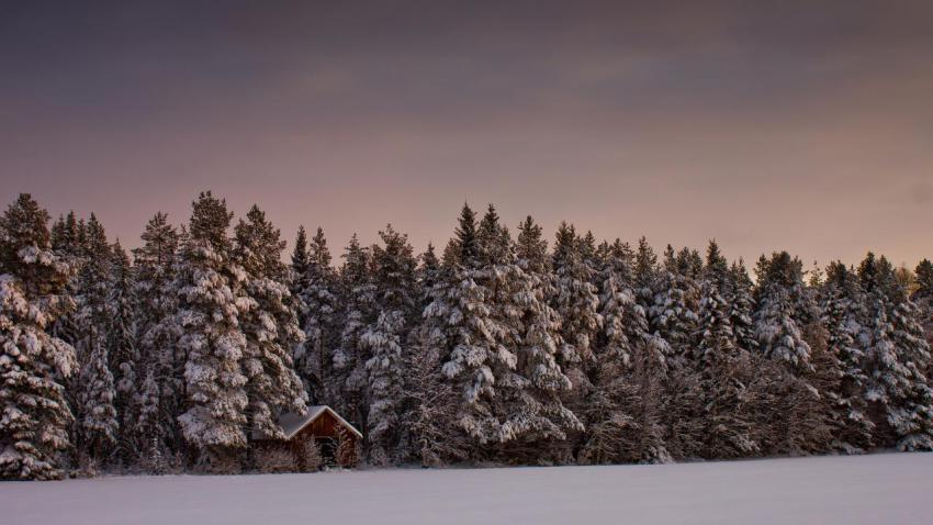 02794 landscapecoveredinsnow 2560x1440