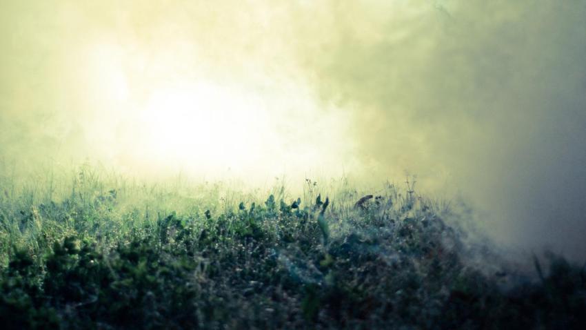 02800 thefog 2560x1440
