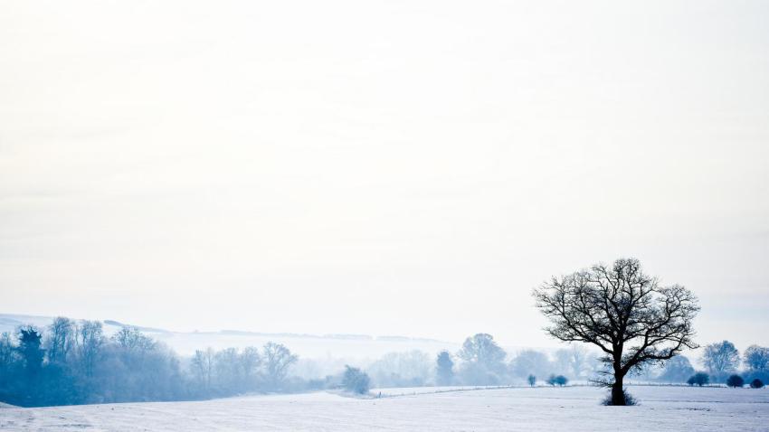 02806 winterwonderland 2560x1440
