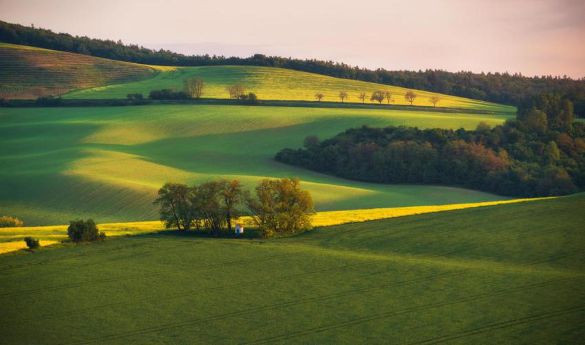 South moravian landscape in the early spring morni 2023 11 27 05 06 07 utc