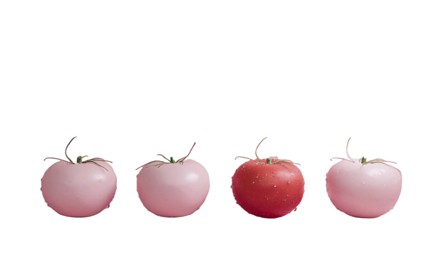 Vegetables png file free download (frefile com) 135