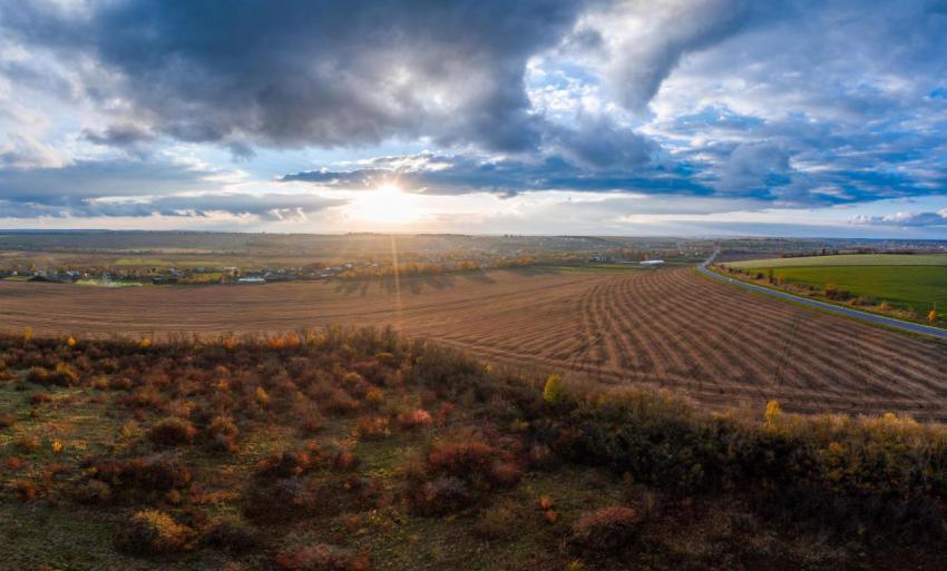 Flying over an green empty field 2023 11 27 05 16 12 utc
