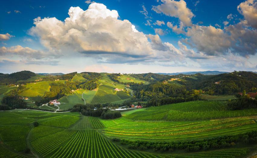 South styria vineyards aerial panorama landscape 2024 10 12 09 45 54 utc