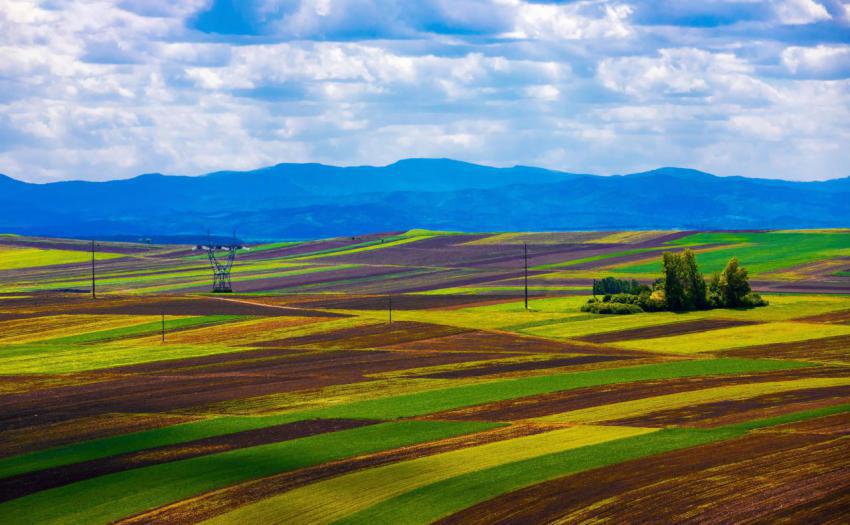 Landscape with many agricultural lands cultivated 2023 11 27 05 12 25 utc