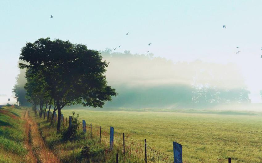 Landscape, natural, background, free download (6)