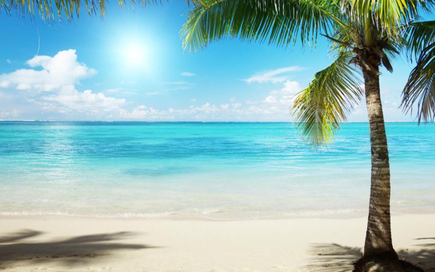 100 Amazing Mixed Wallpapers {Pack  344} (87)