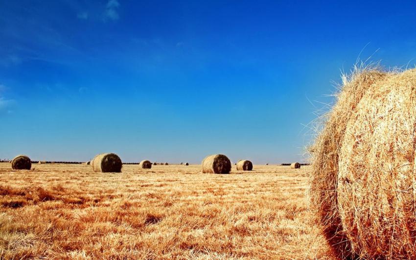 100 Amazing Mixed Wallpapers {Pack  344} (88)