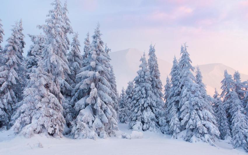 Walpaper, natural, landscape free download (17)