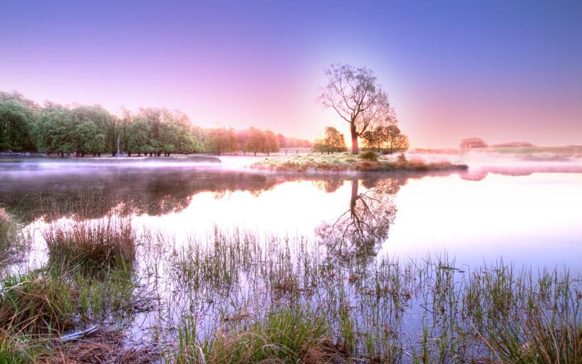 Walpaper, natural, landscape free download (95)