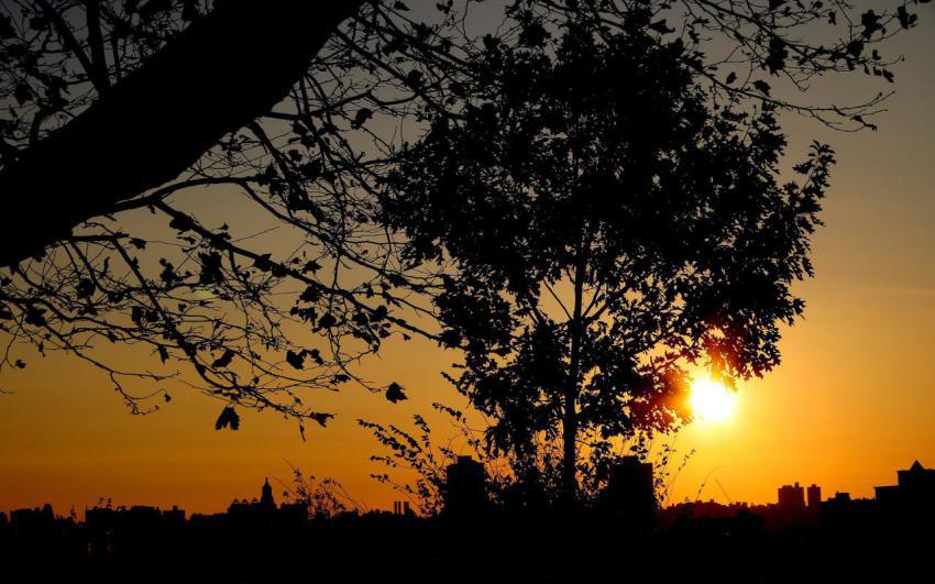 Landscape, natural, background, free download (5)