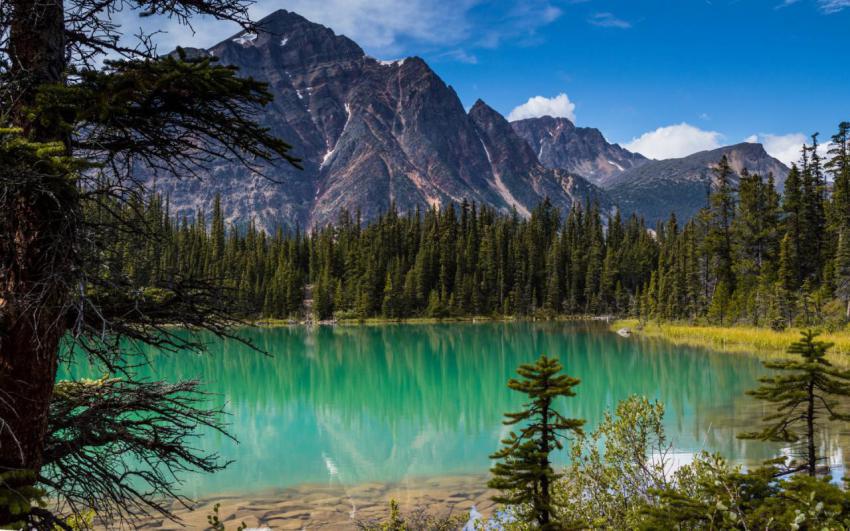 Landscape, natural, background, free download (29)