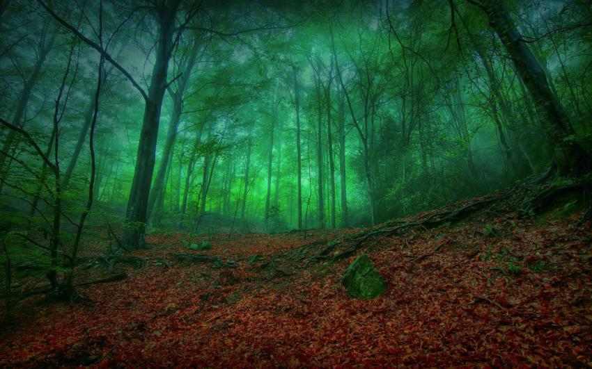 Landscape, natural, background, free download (35)