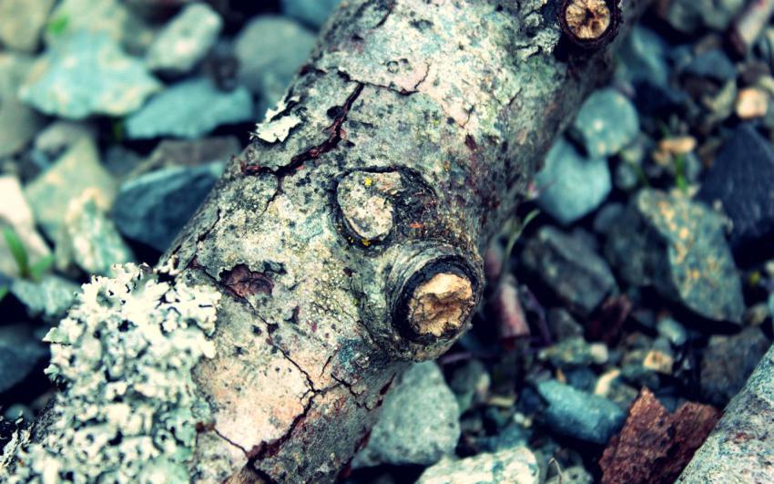 Landscape, natural, background, free download (78)
