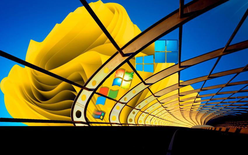 Walpaper, photo, background free download (16)