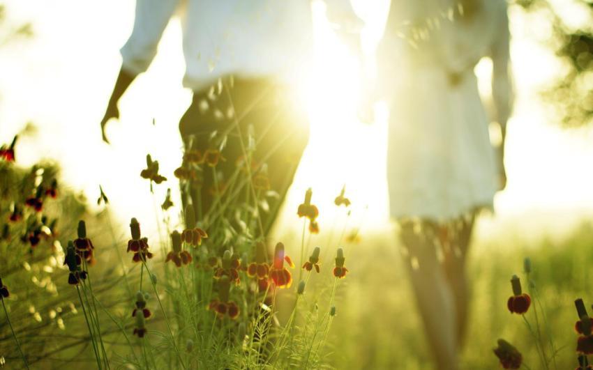 Walpaper, photo, background free download (20)
