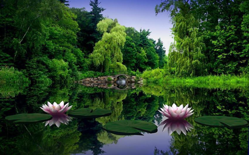 Walpaper, photo, background free download (99)