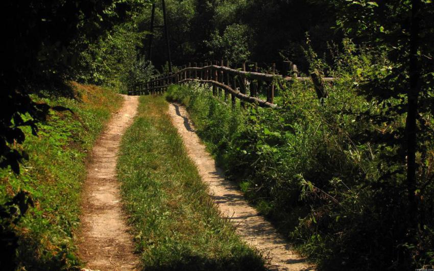 Landscape, animal, girl free download (31)