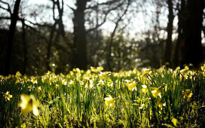 Landscape, animal, girl free download (58)