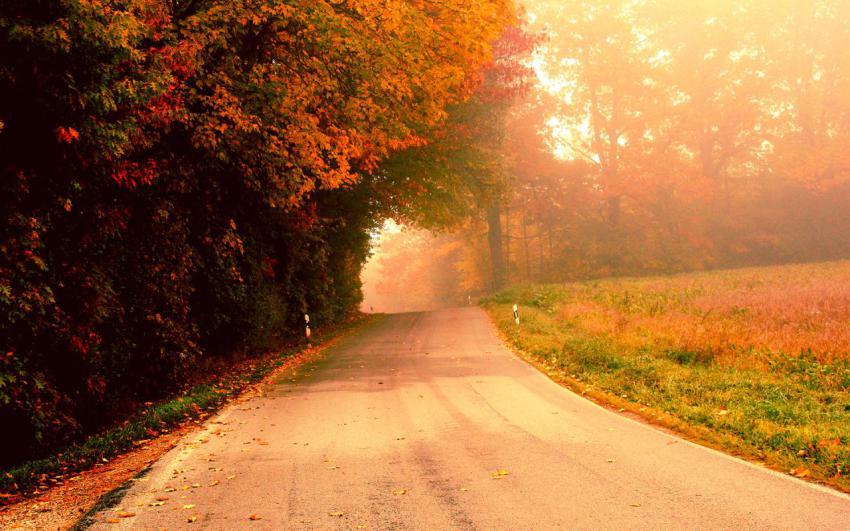 Landscape, animal, girl free download (68)