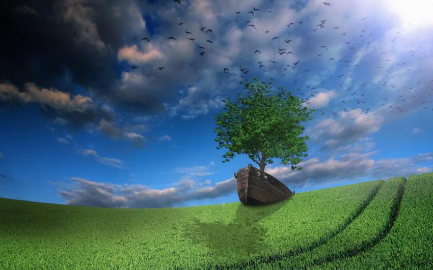 Landscape, animal, girl free download (76)