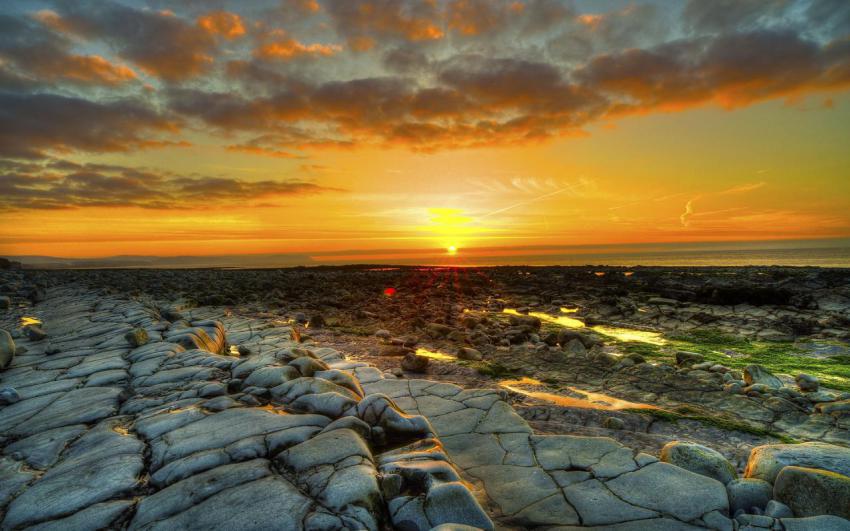 Landscape, animal, girl free download (87)