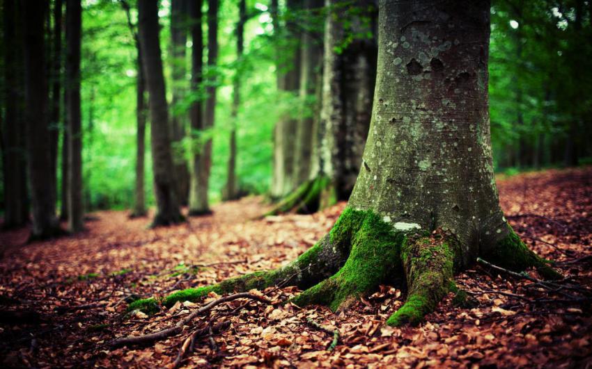 Wallpaper, people, landscape, free download (2)