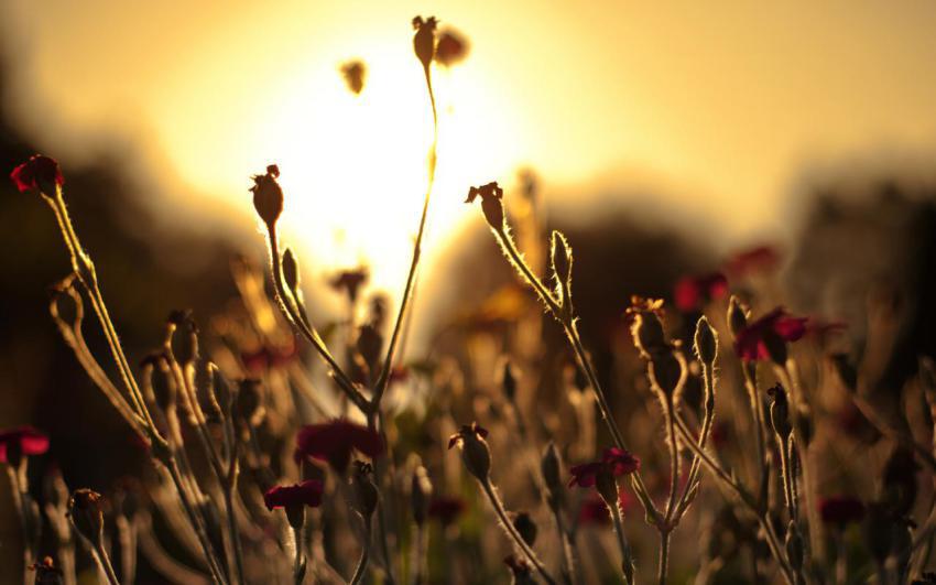 Wallpaper, people, landscape, free download (26)