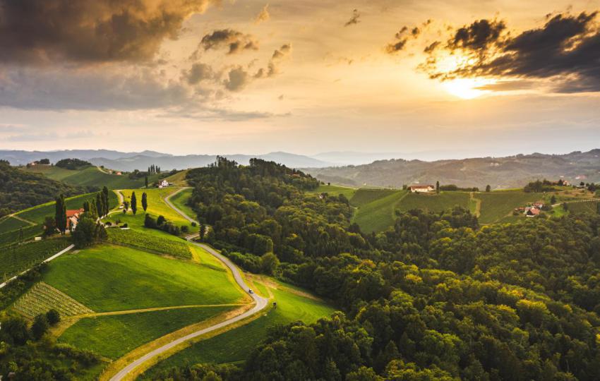 Gorgeous sunset over beautiful green vineyards ae 2024 10 18 06 20 19 utc
