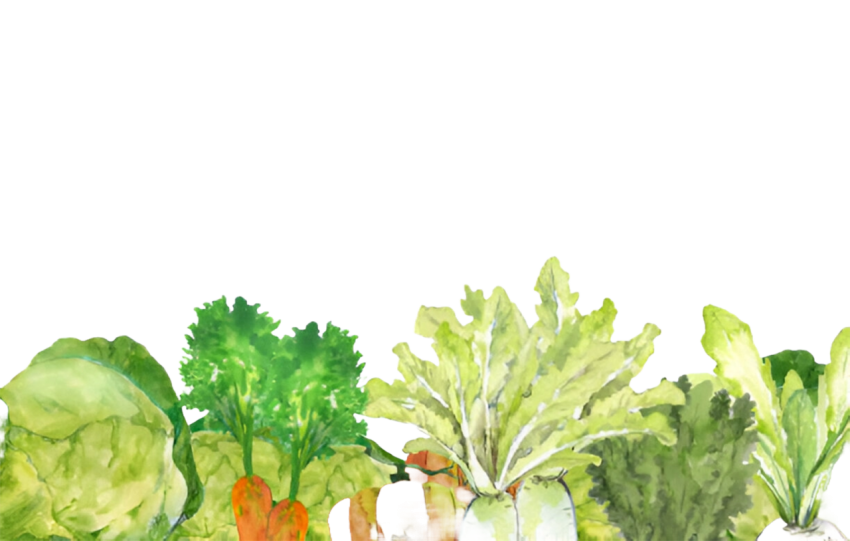 Vegetables png file free download (frefile com) 45