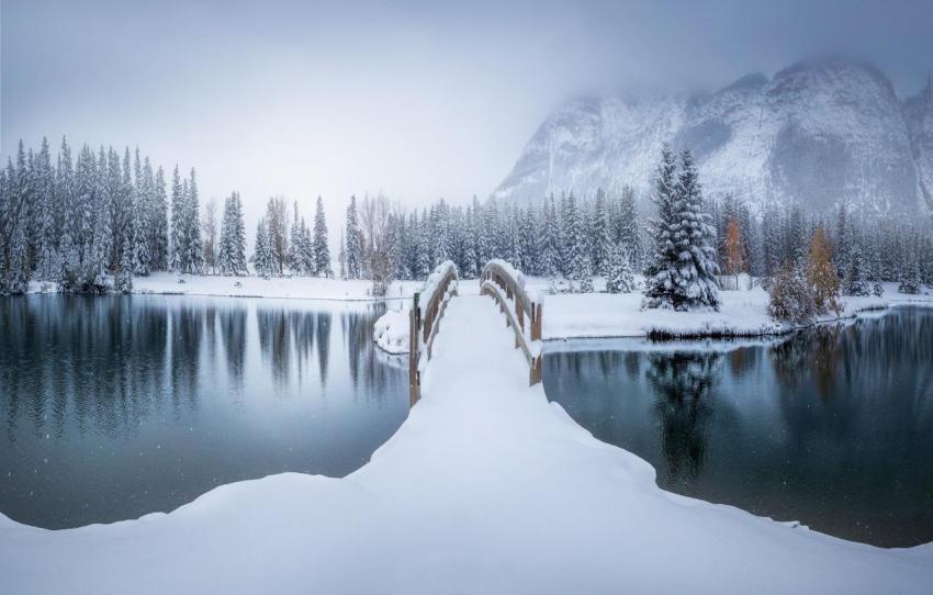 Best Wallpapers (30)