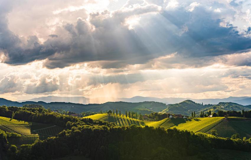 Beautiful landscape of austrian vineyards in south 2024 10 18 07 22 06 utc
