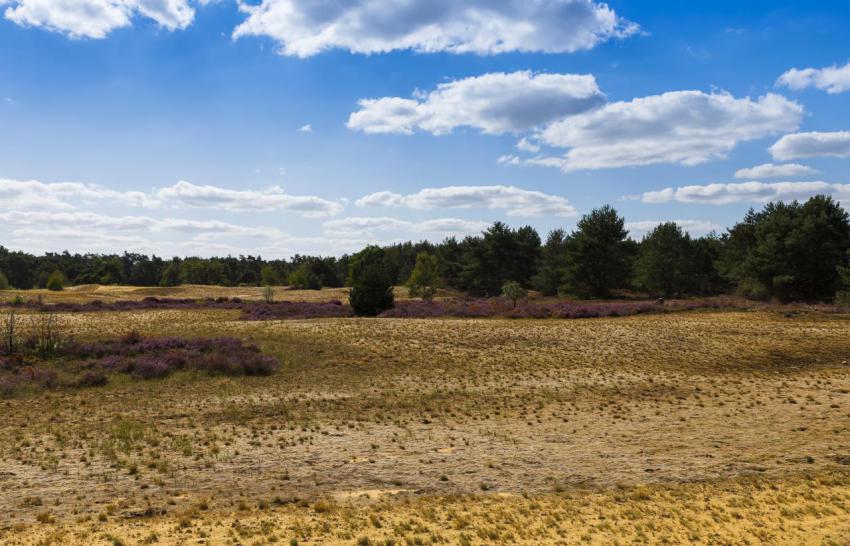 The nature reserve maasduinen 2024 08 02 20 45 48 utc
