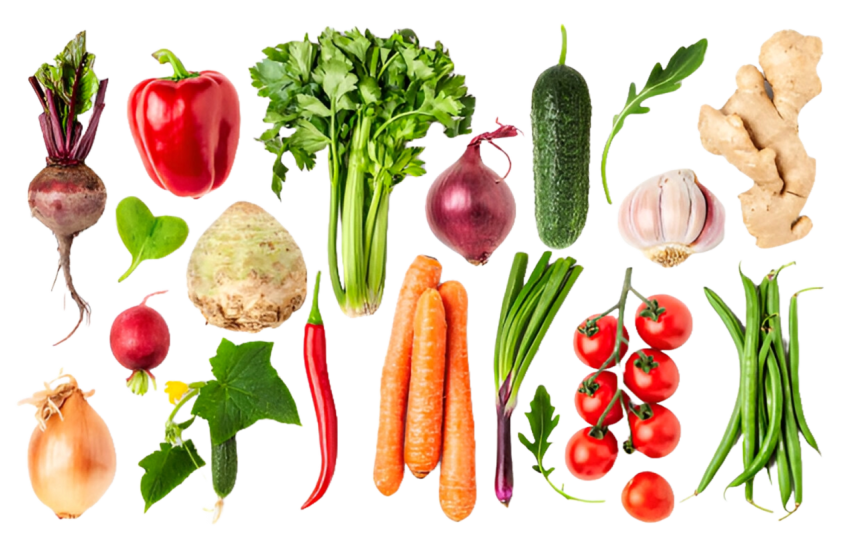 Vegetables png file free download (frefile com) 39