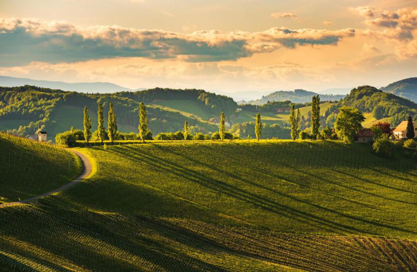 South styria vineyards landscape near gamlitz au 2024 10 12 09 13 25 utc