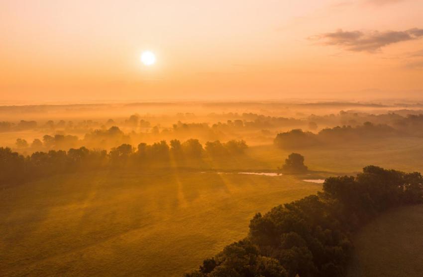 Sun rising above riparian forest in summer from dr 2024 11 27 04 33 56 utc