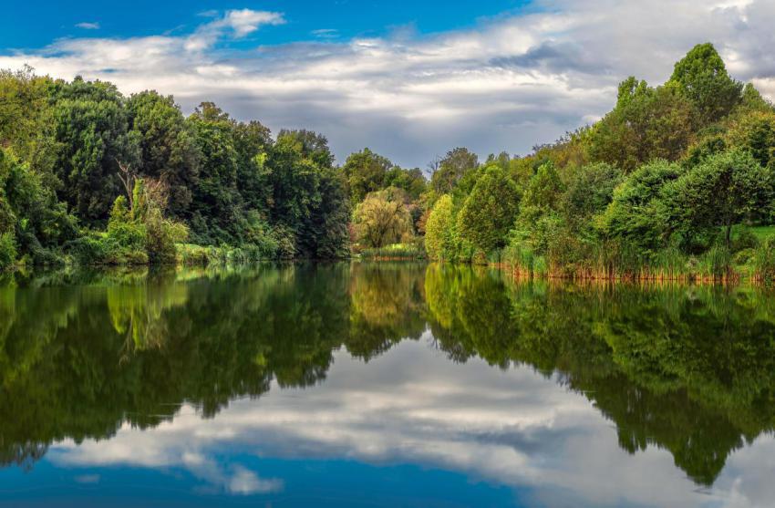 Landscape of cherokee lake surrounded by greenery 2023 11 27 04 54 58 utc