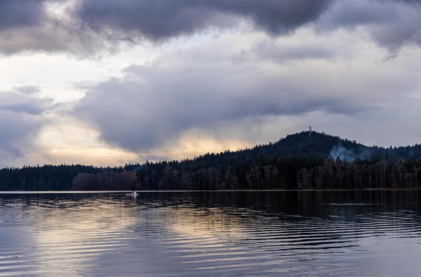 Scenic view of tranquil lake and forest at dusk on 2024 11 25 20 46 59 utc