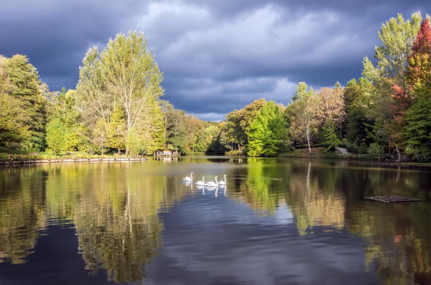Istanbul turkey ataturk arboretum autumn view 2023 11 27 05 01 02 utc