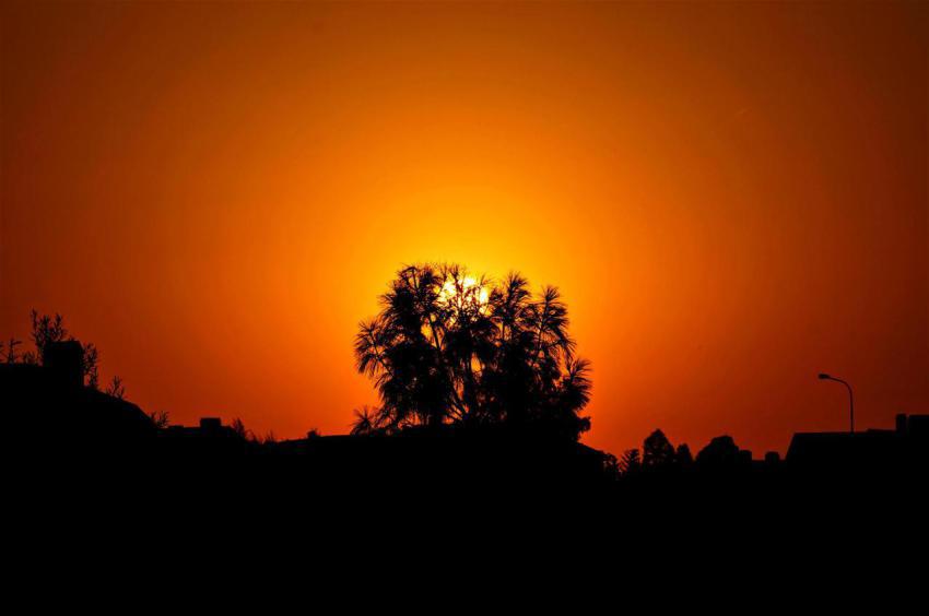 At sunset silhouette of a tree against the sky 2024 12 02 17 41 52 utc